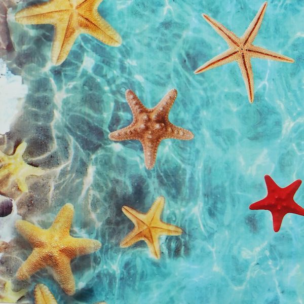 Cubremesa Plain Pvc Starfish Amarillo/Rojo