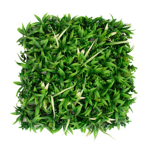 CERCO DECO ENREDADERA ASTROLOBA 50X50CM VERDE (CCGF017)