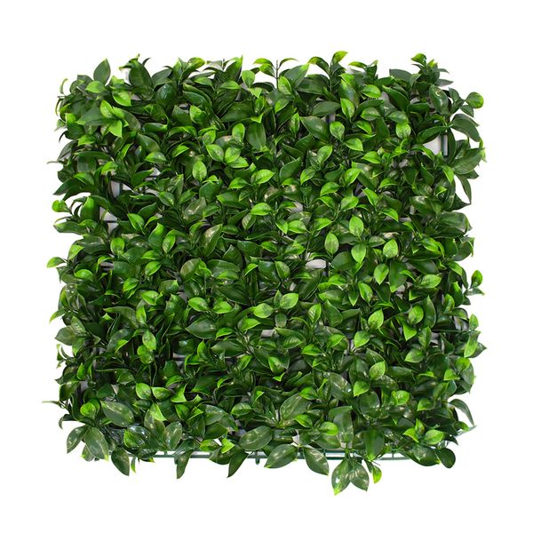 CERCO DECO ENREDADERA GARDENIA 50X50CM VERDE (CCGA138)