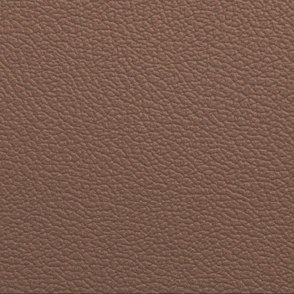 Piel De Cafe Capuccino