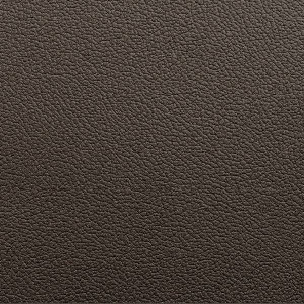 Piel De Cafe Natural