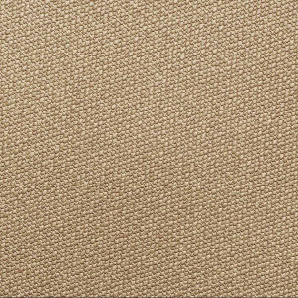 Preston Camel 1667801