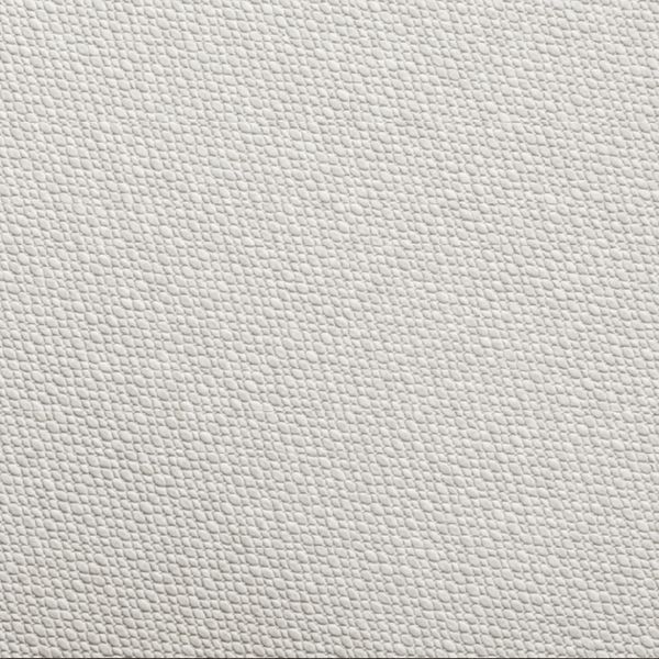 Preston Blanco 1667337