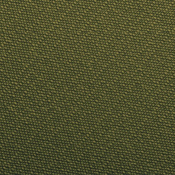 Preston Pistacho 1667498