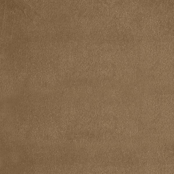 Tela Velvet Baby Face Camel
