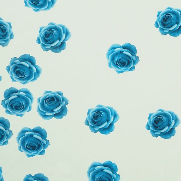 Cubremesa Transp Pvc Petalos Azules