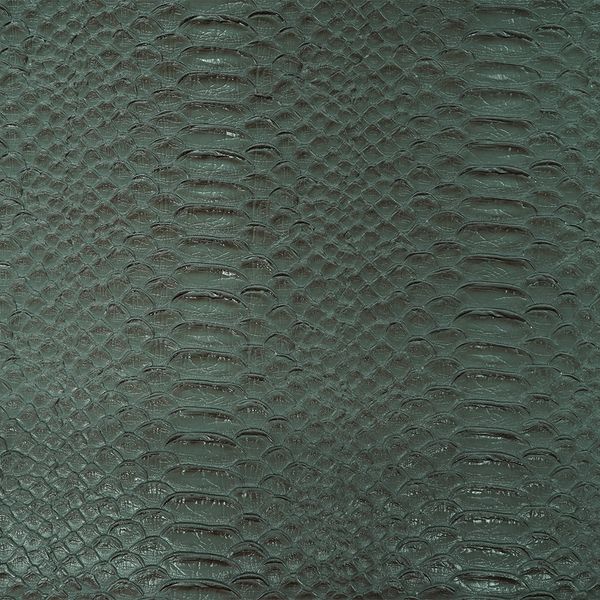 Iguana Gris