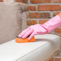 Artículos de Limpieza